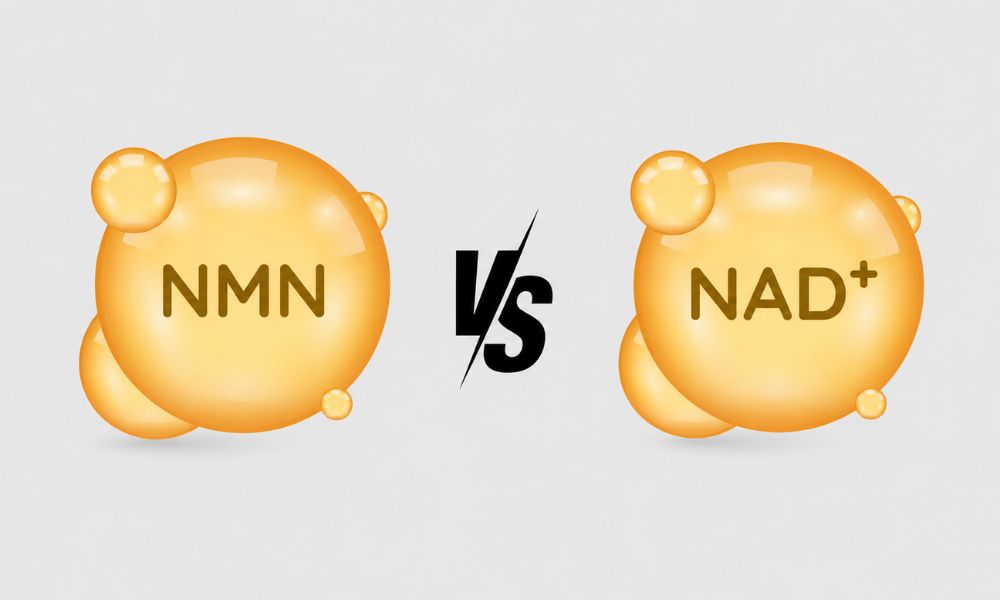 Sự khác nhau giữa NMN và NAD+